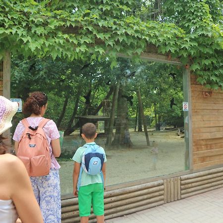 리그나노 사비아도로 Letizia 아파트 외부 사진